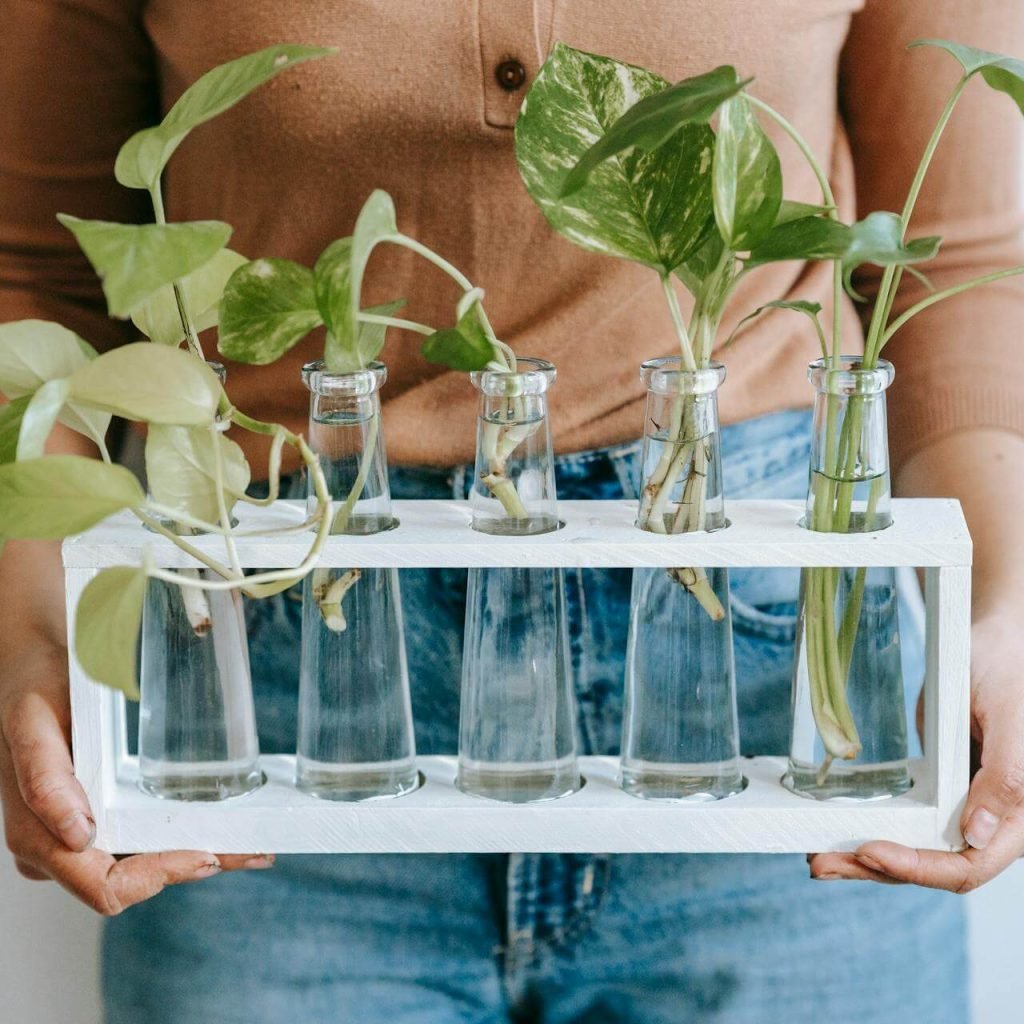 Azioni concrete per chi vuole fare la differenza nel Rebel Farming