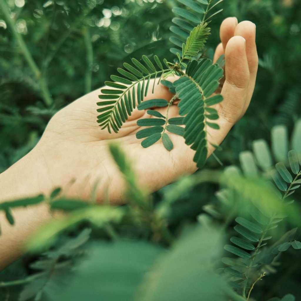 Visione e valori della community Rebel Farming