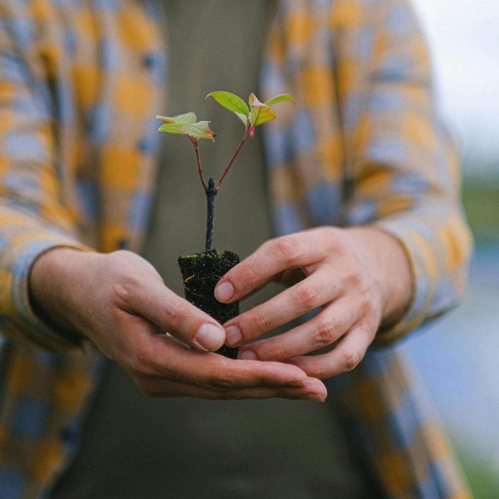 Negozio online di Rebel Farming con prodotti sostenibili e guide