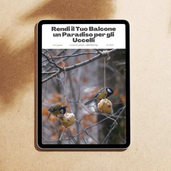 Guida in PDF per attirare uccelli selvatici sul balcone – Copertina ebook La Stria