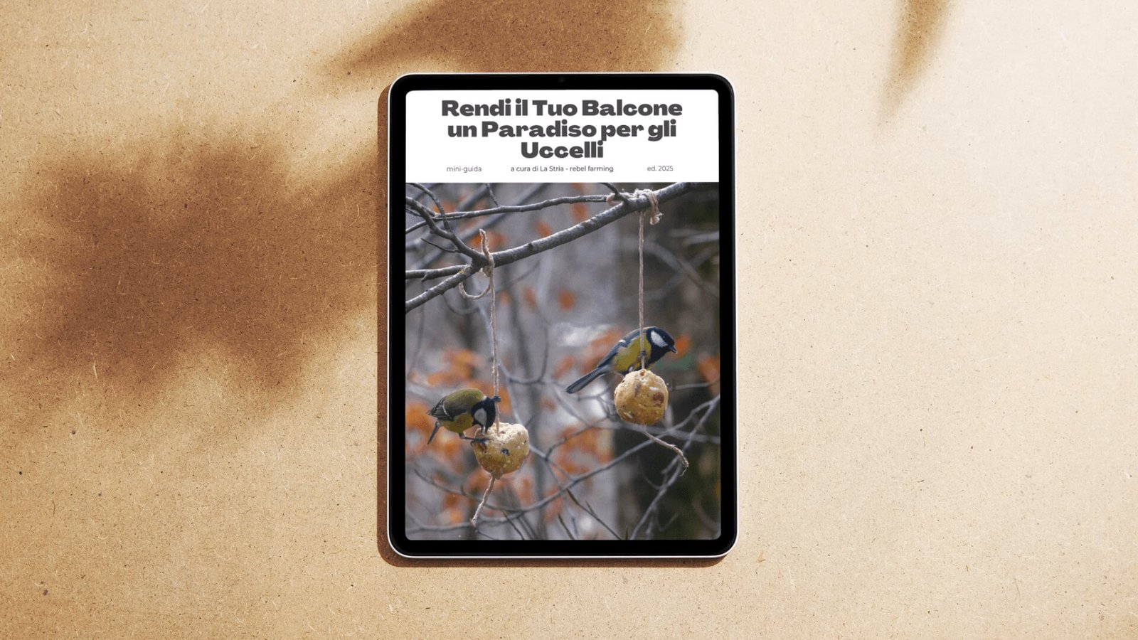 Guida in PDF per attirare uccelli selvatici sul balcone – Copertina ebook La Stria