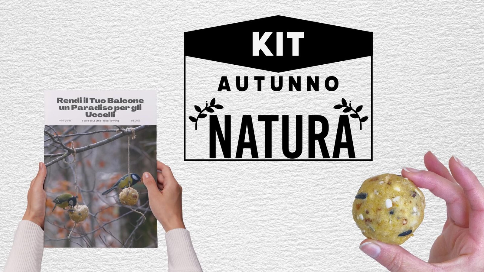 Kit Autunno Natura: 3 palle di grasso naturali per uccelli selvatici con guida in PDF per il balcone | OFFERTA unica per la tutela della biodiversità