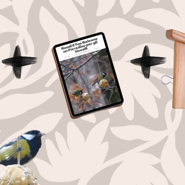 Kit completo per uccelli selvatici con mangiatoie da balcone e 24 palle di grasso artigianali