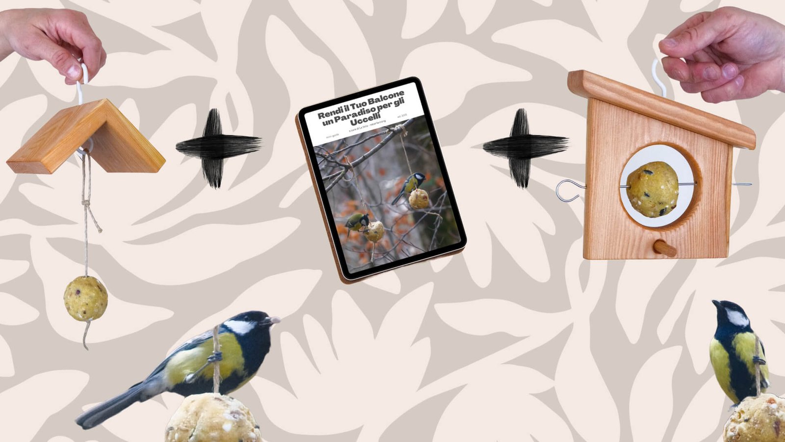 Kit completo per uccelli selvatici con mangiatoie da balcone e 24 palle di grasso artigianali