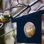 Mangiatoia nera per palle di semi, ideale per piccoli spazi come balconi e terrazzi, ma anche giardini.