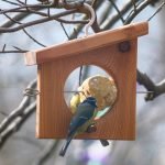 Mangiatoia da appendere con palle di grasso per uccelli da giardino.