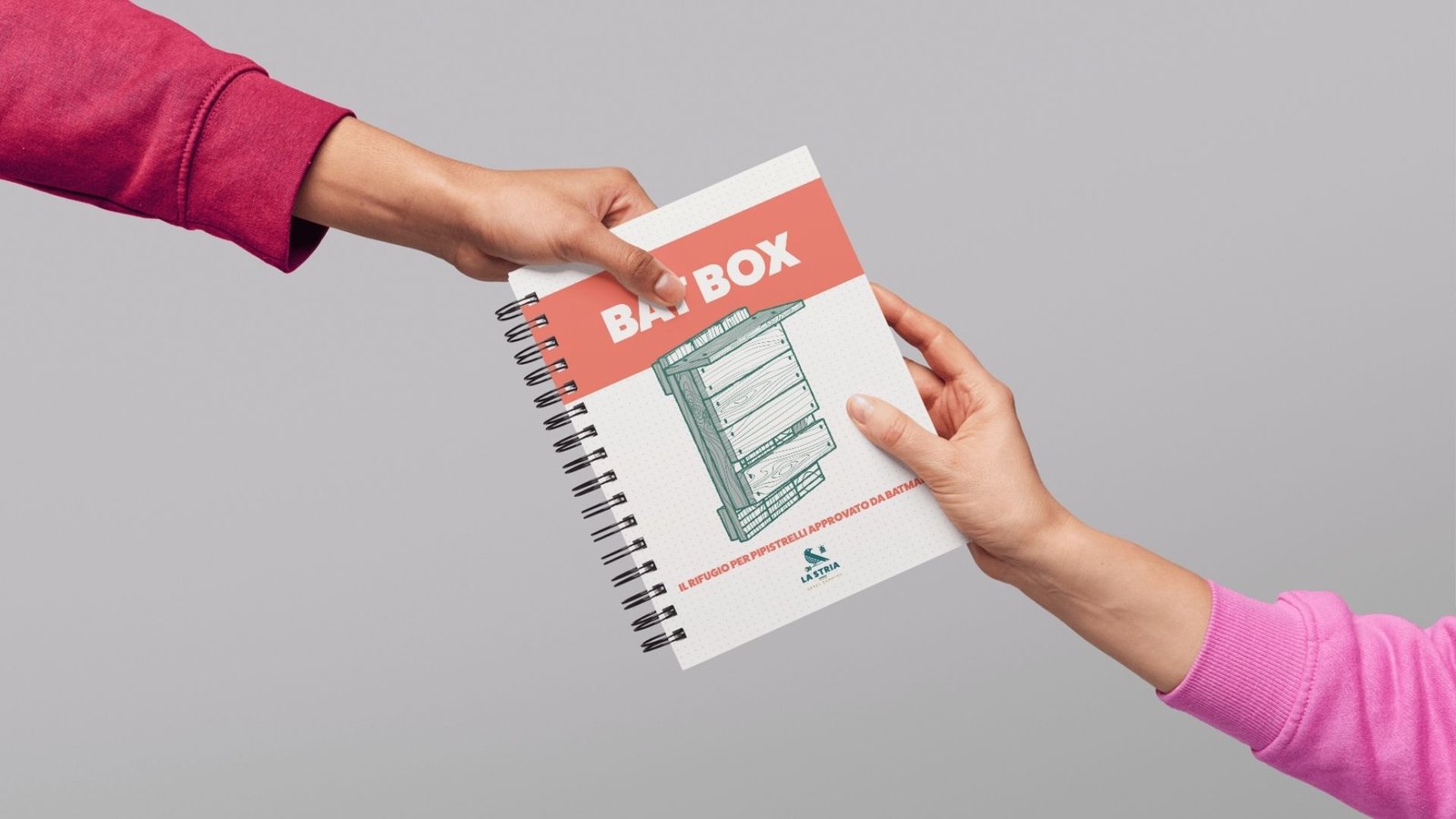 Mockup 3D della guida illustrata per costruire una bat box fai-da-te