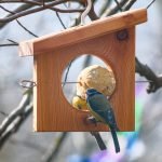 Porta palle di semi realizzato in legno certificato, sicuro per gli uccelli selvatici.