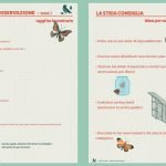 Due pagine del Diario Natura con schede di osservazione, adatto a bambini e adulti