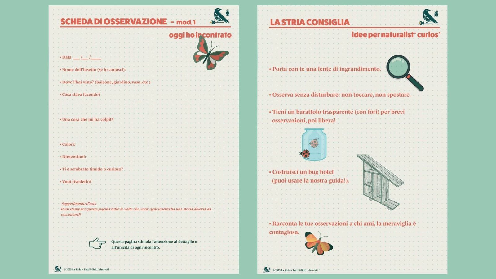 Due pagine del Diario Natura con schede di osservazione, adatto a bambini e adulti