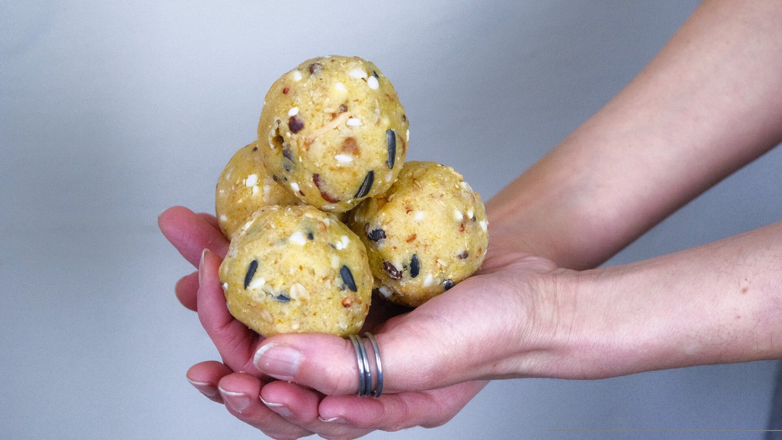 Palle di grasso naturali per uccelli da giardino, ricche di semi e nutrienti.