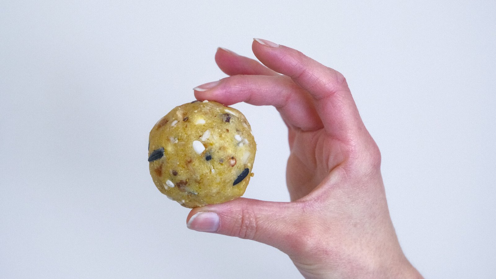 Palle di grasso ad alto contenuto energetico per uccelli selvatici, ideali per l’inverno.