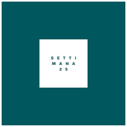 SFIDA | giugno 2025 – settimana 25