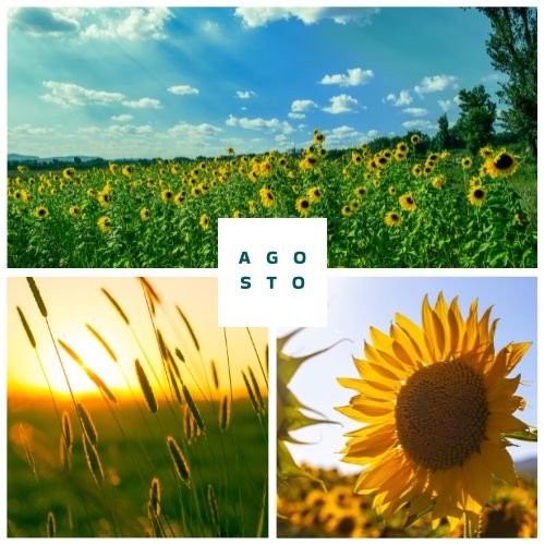 Immagine evocativa per rappresentare lo spirito delle sfide di agosto de La Stria: un invito al viaggio lento, alla connessione con la natura e alla riscoperta del ritmo naturale delle cose.