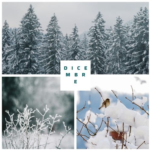 Sfide di dicembre 2025 dedicate a festività consapevoli, gratitudine e slow living natalizio