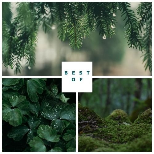 Sfide principali di Rebel Farming per ispirare il cambiamento