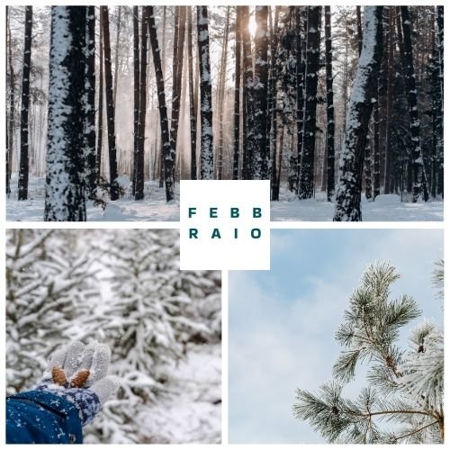 Raccolta delle sfide del mese di febbraio per la community Rebel Farming