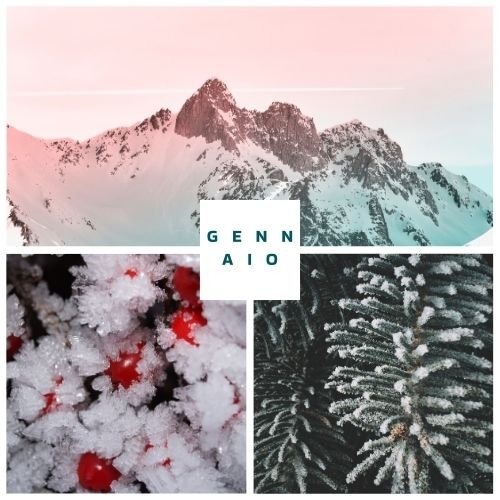 Raccolta delle sfide del mese di gennaio per la community sostenibile de La Stria Rebel Farming