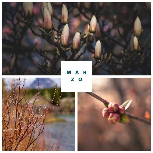 Elenco delle sfide mensili di sostenibilità e crescita personale per marzo