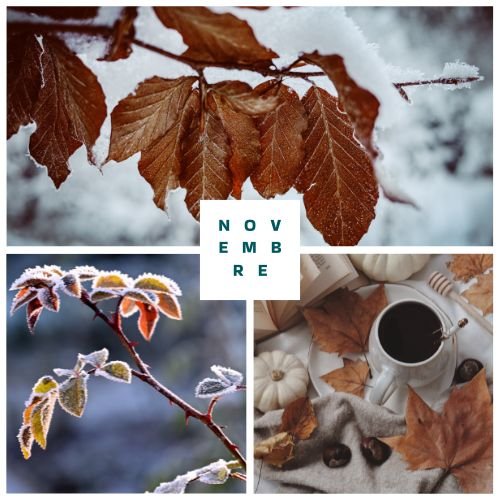 Sfide di novembre di La Stria – Vivere in modo sostenibile e eco-friendly