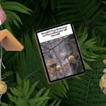 Starter Pack Rifugio Alato – Mini guida + mangiatoia + cibo per uccelli selvatici da balcone